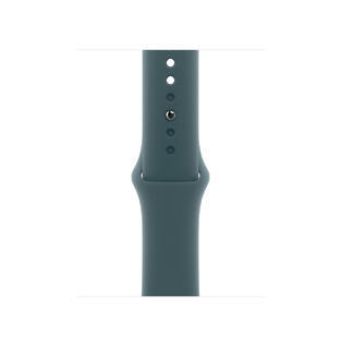 Apple 40mm Lake Green Sport Band - M/L