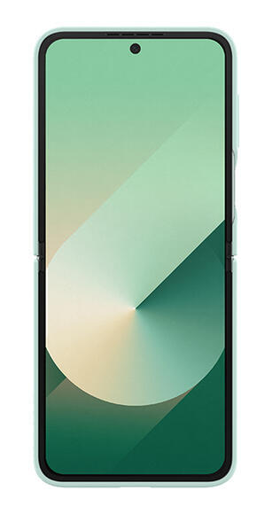 Samsung Silicone Case Galaxy Z Flip6, Mint2