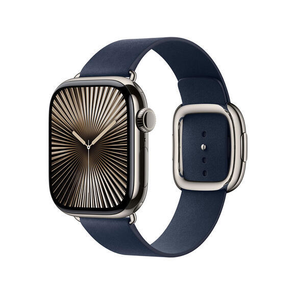 Apple 42mm Deep Blue Modern Buckle - Large2