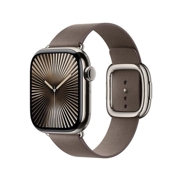 Apple 42mm Dark Taupe Modern Buckle - Large2